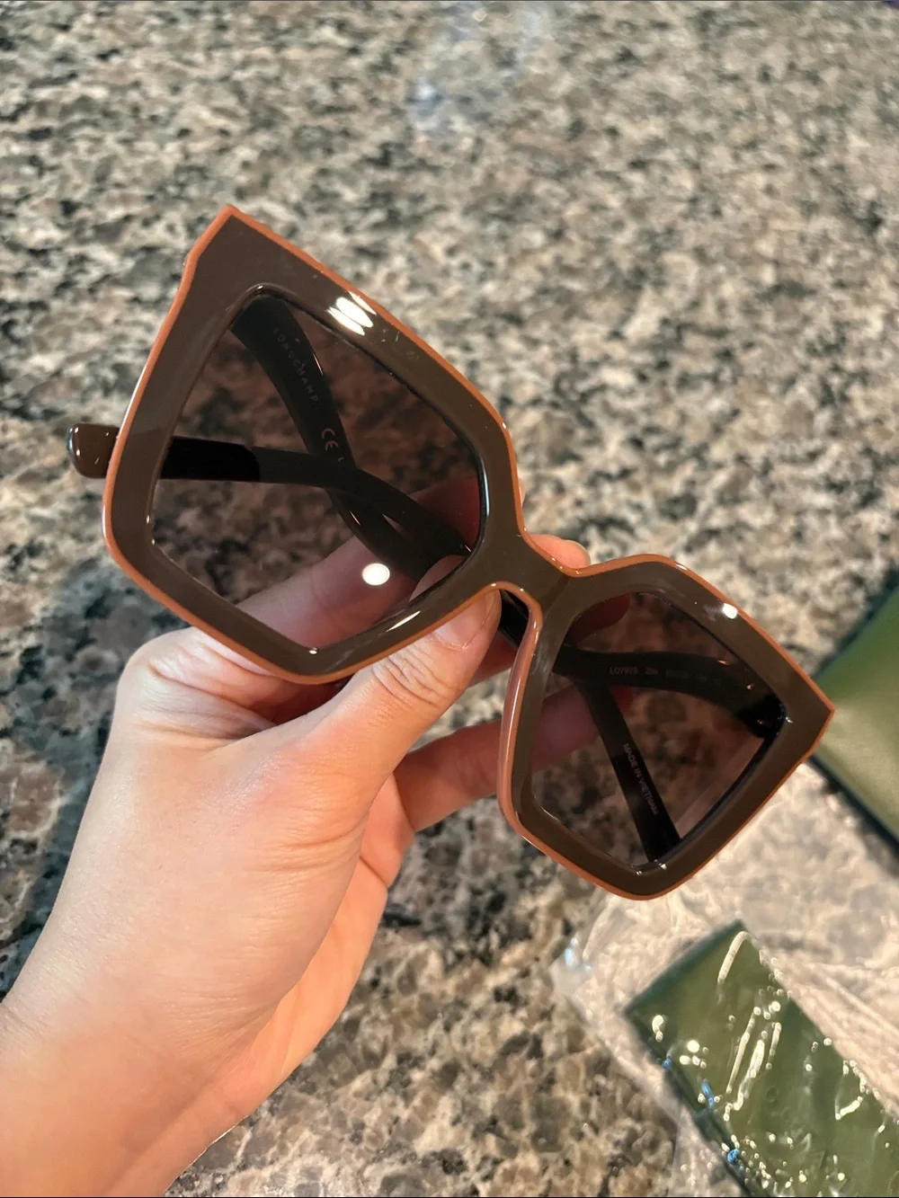 Longchamp nwt oversized